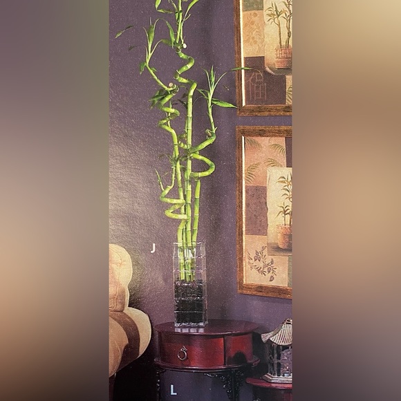 SOLARA VASE by Home Interiors. 3.5 lbs - Picture 8 of 9